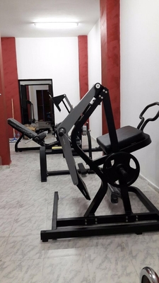 Çelik Boru Serbest Ağırlık Spor Salonu Ekipmanları Arka Geri Tepme Makinesi 125kg