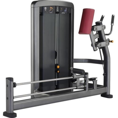 Vücut Geliştirme Fitness Ayakta Çok Kalça Makinesi Entegre Spor Salonu Eğitmeni