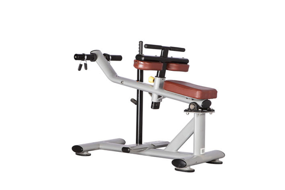 ISO9001 Spor Salonu Fitness Aksesuarları Oturmuş Buzağı Makinesi H-029