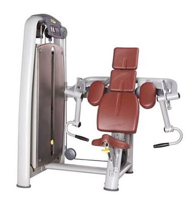 Sentetik Deri ile OEM ODM Fitness Salonu Ekipmanları Pazı Kıvırmak Makinesi