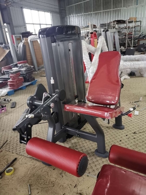 Yeni Life Fitness Ekipmanları Katlanmamış Oturan Tricep Pres Makinesi Toz Boya